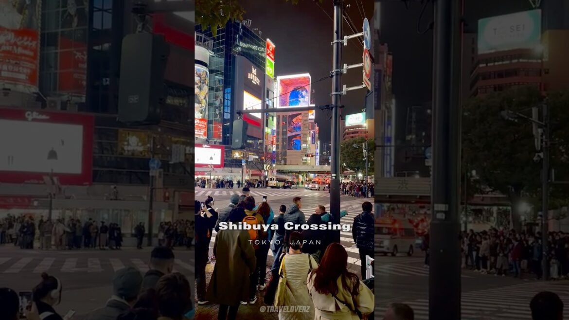 Most Crowded Crossing in the World: Shibuya Crossing, Tokyo, Japan🚶🏻🇯🇵 #japan #travel #shorts Most Crowded Crossing in the World: Shibuya Crossing, Tokyo, Japan🚶🏻🇯🇵 #japan #travel #shorts