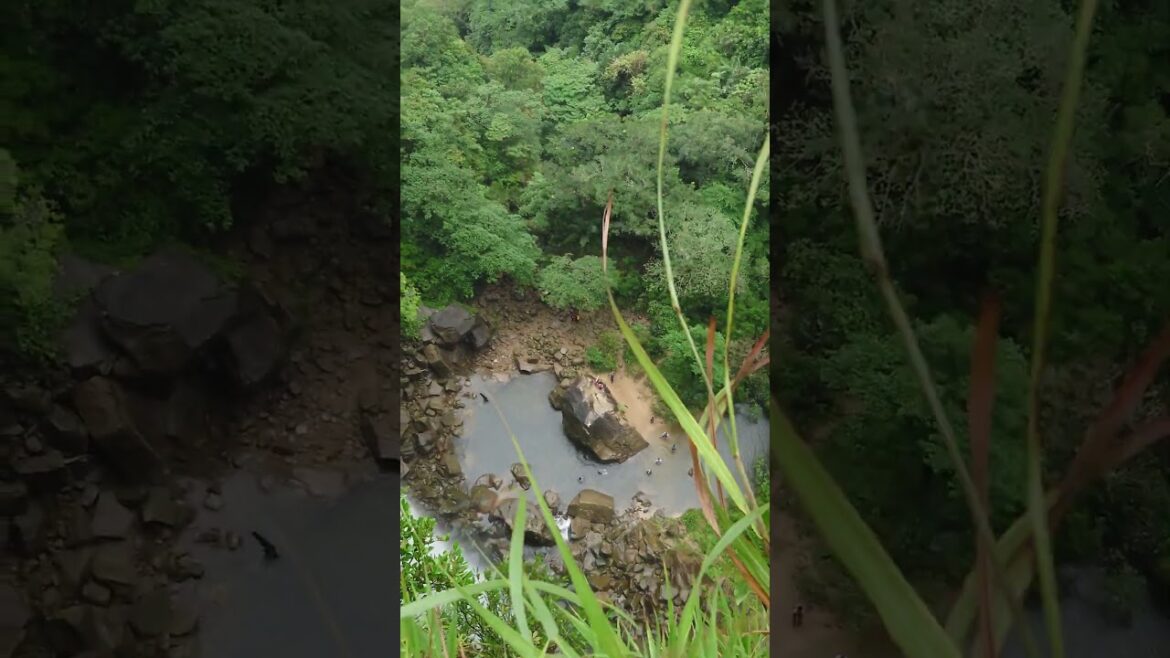 Pinaisara Falls: Iriomote’s Hidden Giant Pinaisara Falls: Iriomote's Hidden Giant