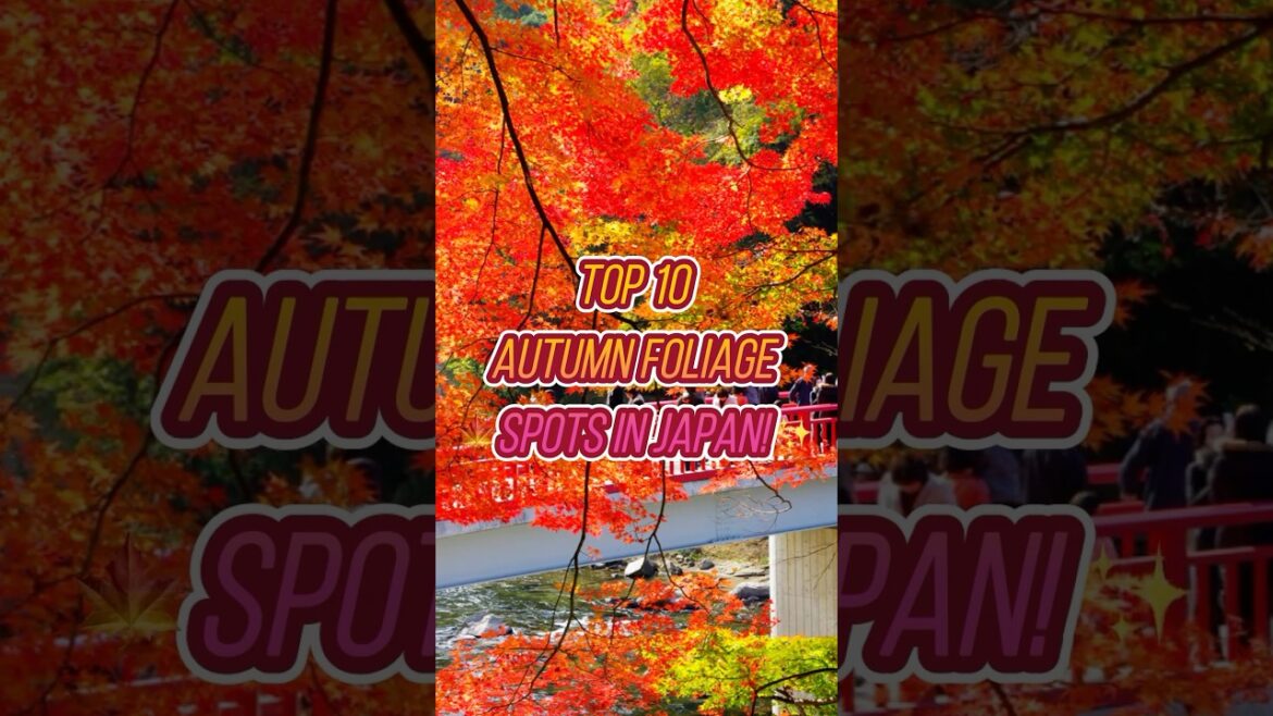 Top 10 Autumn Foliage Spots in Japan! 🍁✨   #japantravel #momiji #autumnfoliage