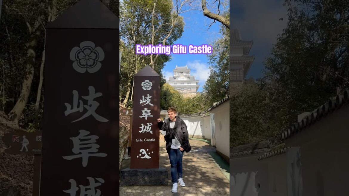 Exploring Gifu Castle #japan #travel #japanvlog #gifu #castle #japantravel #youtubeshorts #culture