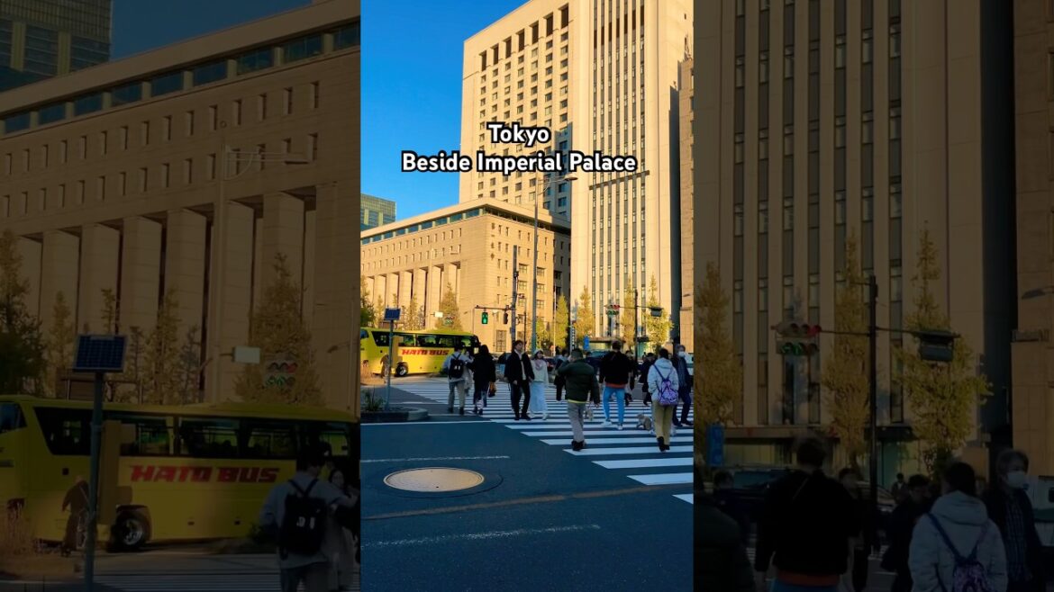 Tokyo Autumn #japan #travel #walkthrough #tokyo #foryou #shorts