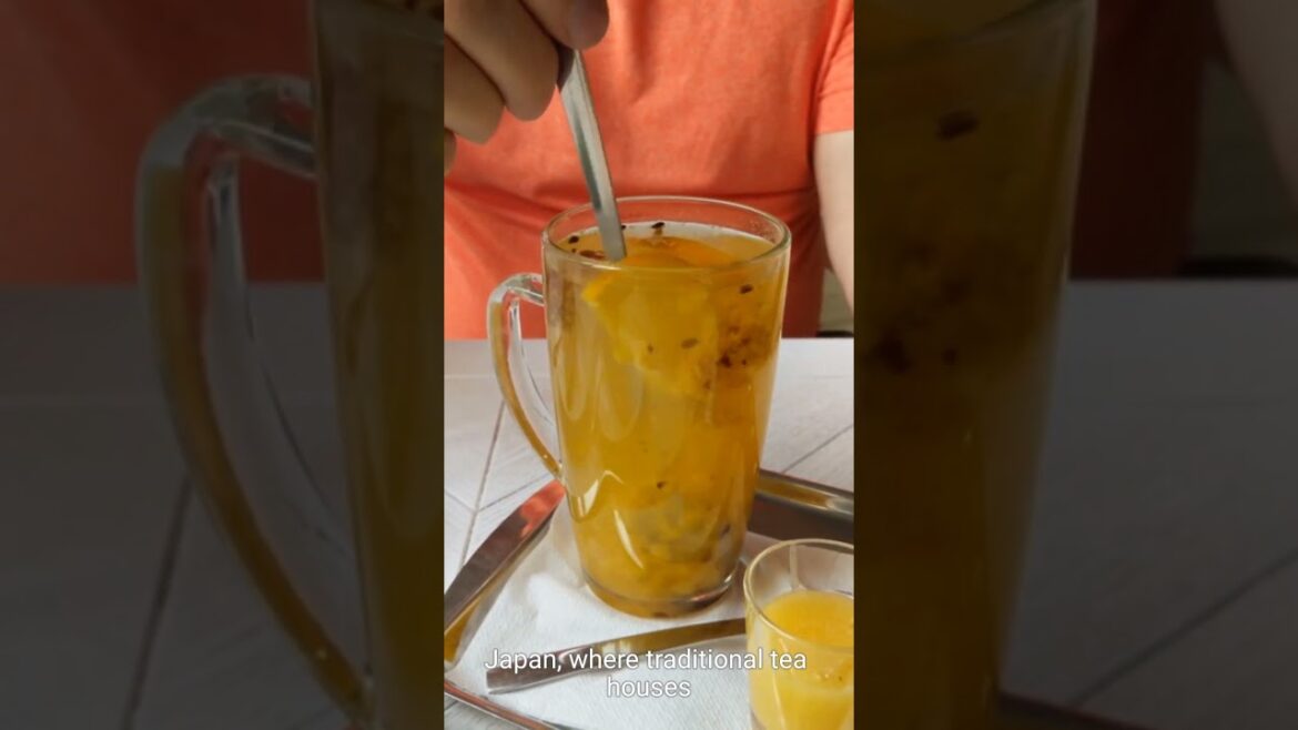 The Best Travel Destinations for 2024 (and WHY) The Best Travel Destinations for 2024 (and WHY)