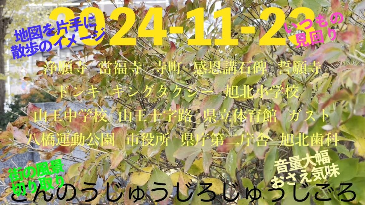 2024-11-23さんのうじゅうじろじゅうじごろ