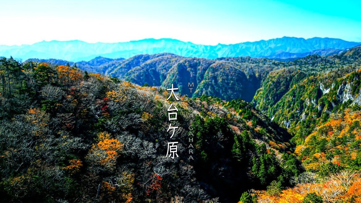 Solo Travel Japan, Mt Odaigahara, Autumn foliage