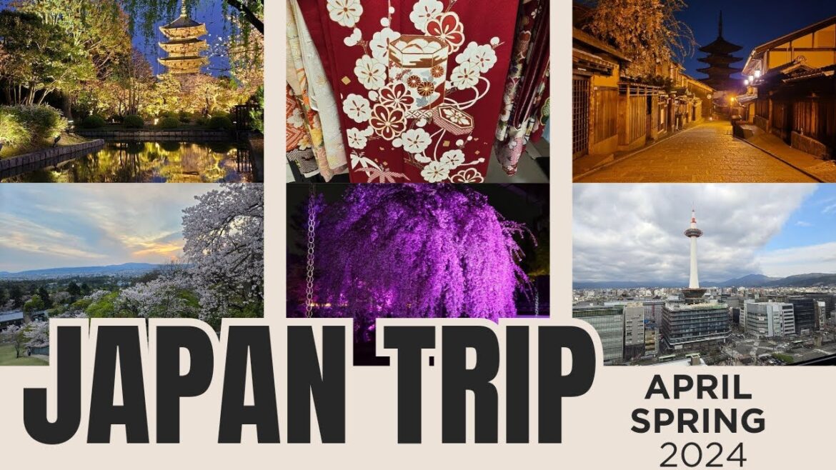 Spring in Japan is Pure Magic 🌸✨ #SakuraSeason #JapanTravel Spring in Japan is Pure Magic 🌸✨ #SakuraSeason #JapanTravel