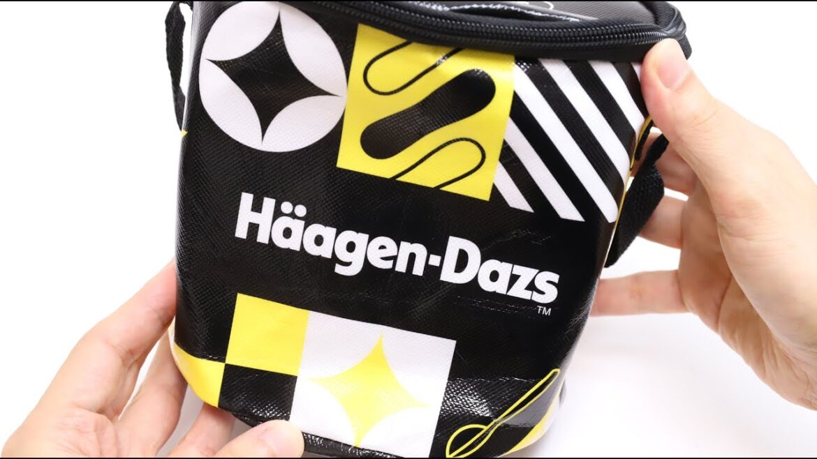 Haagen-Dazs Ice Cream Black Friday Lucky Bag Reusable Cooler Bag is Good! Haagen-Dazs Ice Cream Black Friday Lucky Bag Reusable Cooler Bag is Good!