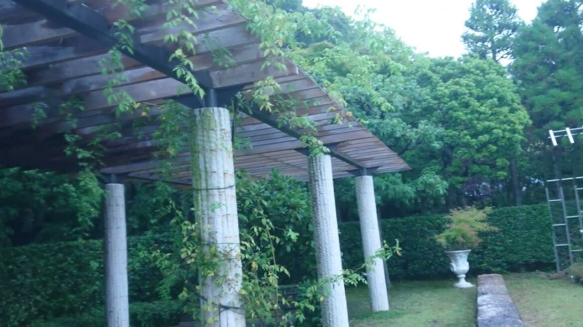 #nature #green #japan #japanesegarden #japantrip #park #botanical #trip #garden #plants #sleep #ASMR