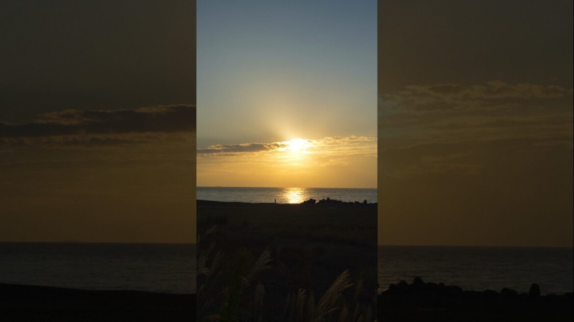 Pが朝を迎える方法 #静岡  #日本   #日本旅行  #風景写真