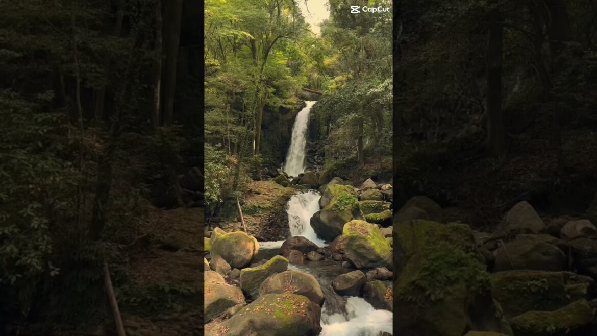 熊本県阿蘇郡西原村の白糸の滝　#kumamotoprefecture #kumamoto #白糸の滝　#西原村　#NISHIHARA #秘境滝