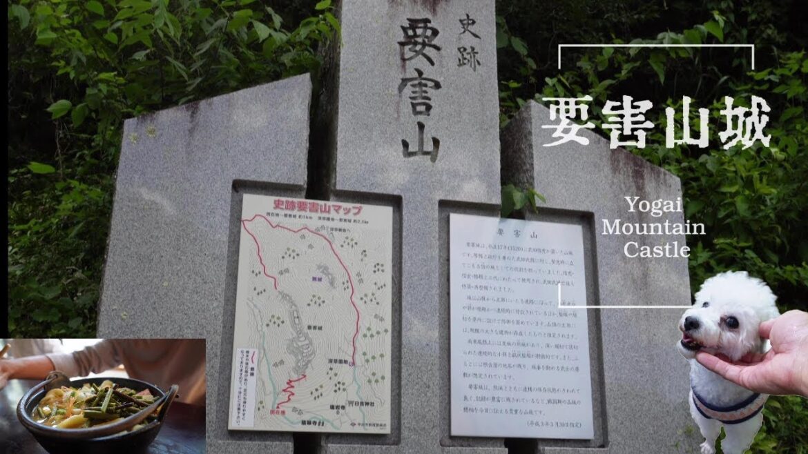 4K Yogai Mountain Castle 要害山城