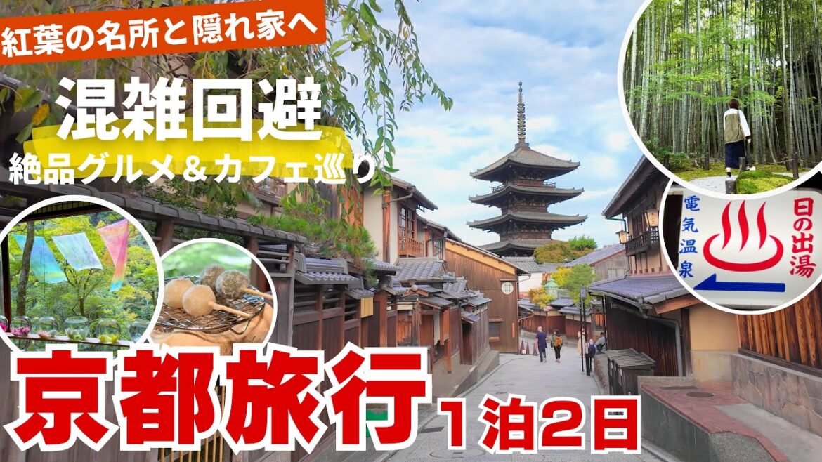 【京都vlog】🍁秋の京都1泊2日🍵 紅葉の隠れた名所と絶品グルメ旅|嵐山・清水寺・東福寺|OMO3 |おすすめモデルコース 【京都vlog】🍁秋の京都1泊2日🍵 紅葉の隠れた名所と絶品グルメ旅|嵐山・清水寺・東福寺|OMO3 |おすすめモデルコース