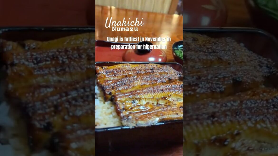 #unagi #numazu #うなぎ #鰻重 #沼津