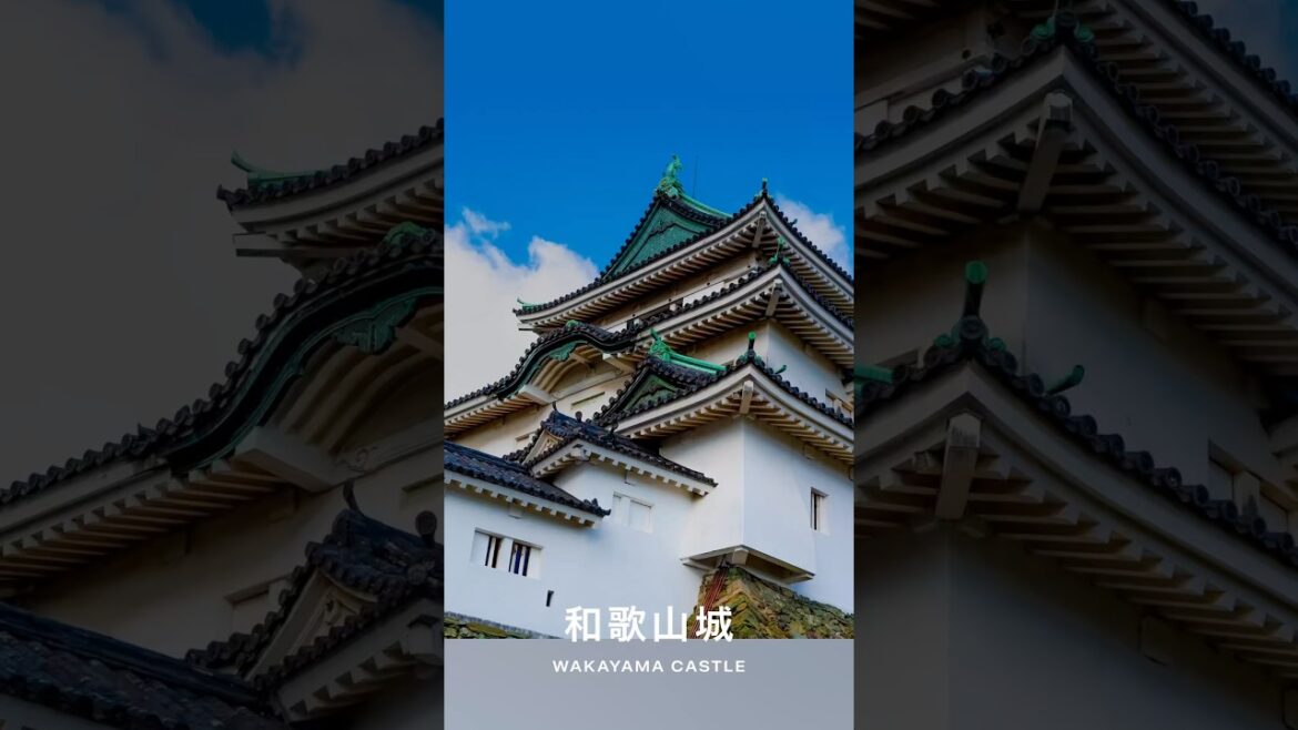 #WakayamaCastle（ #Wakayama  ） ｜#Japan #Castle #shorts
