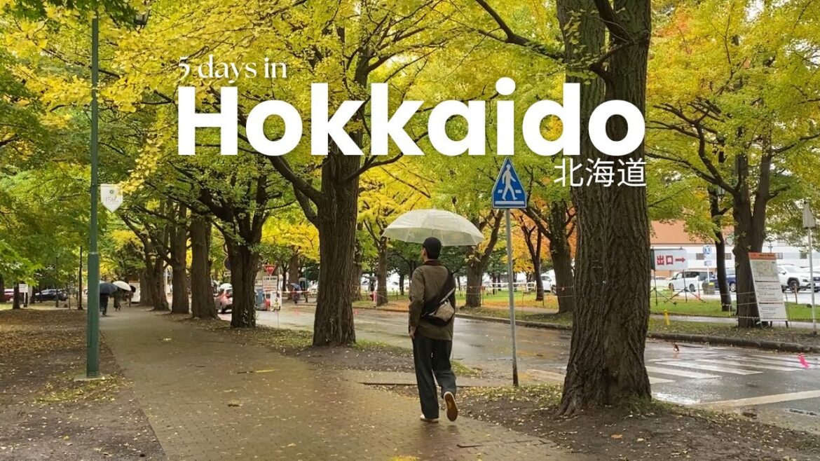 5 days in #Hokkaido | Autumn Wedding Anniversary: Fresh Seafood, Shopping, Scenic Views 2024 Update🍁
