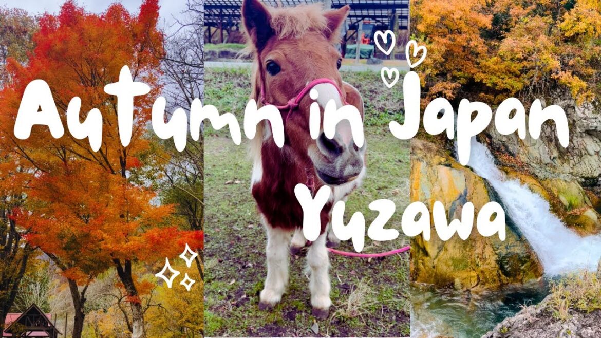 Autumn in Japan | Yuzawa | Niigata | ็ด
่๐ Autumn in Japan | Yuzawa | Niigata | ็ด
่๐