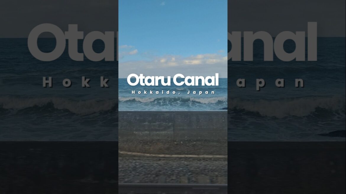 A glimpse of Otaru Canal 🇯🇵 #shorts