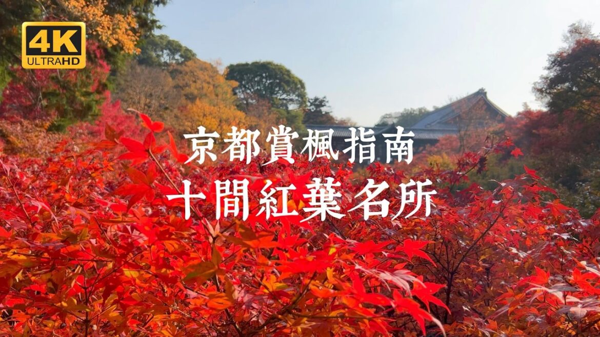 【京都一人旅 EP16】2024京都賞楓指南!精選10間紅葉名所 | 東福寺、神護寺、光明寺、西山善峯寺、真如堂、毘沙門堂、南禪寺、三千院、圓光寺、東寺 【京都一人旅 EP16】2024京都賞楓指南!精選10間紅葉名所 | 東福寺、神護寺、光明寺、西山善峯寺、真如堂、毘沙門堂、南禪寺、三千院、圓光寺、東寺
