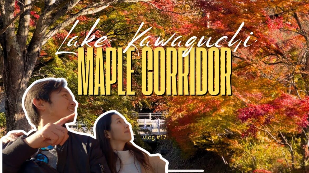 Discovering Lake Kawaguchi Maple Corridor Discovering Lake Kawaguchi Maple Corridor