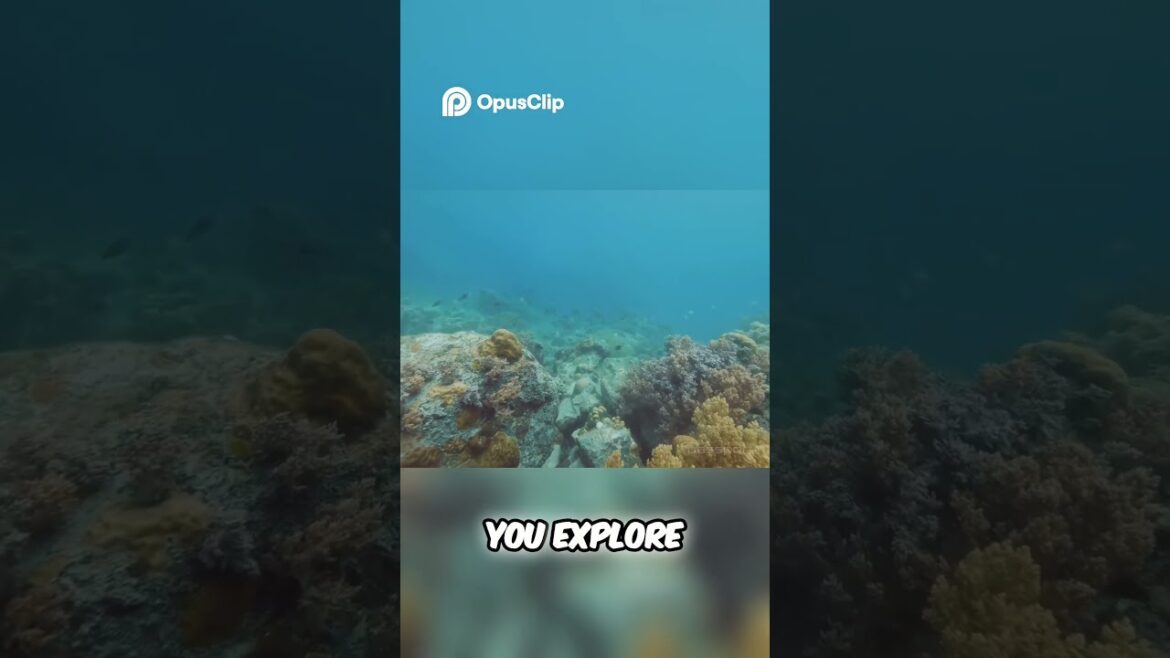 ποΈ Discover Okinawa: π―π΅ Tropical Paradise Escape π΄ | Subscribe to @PassportNuggets #travel #okinawa ποΈ Discover Okinawa: π―π΅ Tropical Paradise Escape π΄ | Subscribe to @PassportNuggets #travel #okinawa