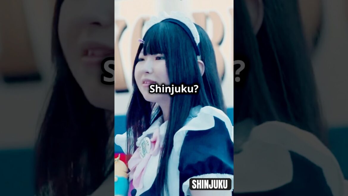 Shinjuku Must-See: Top 5 Things to Do for First-Timers