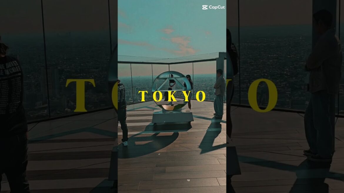 Trip to Tokyo 🇯🇵  #travel #japan