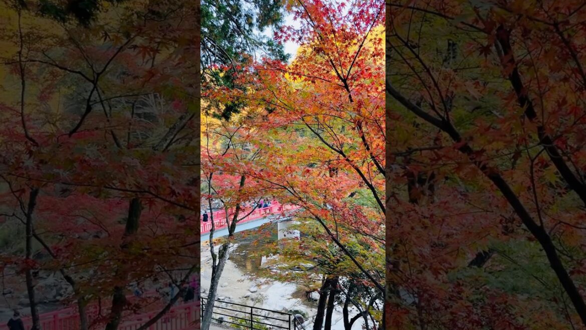 Korankei Gorge 🍂