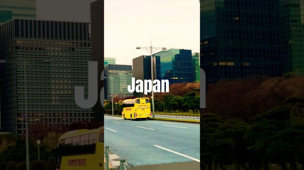 Autumn’s Street in Tokyo #japan #travel #japanwalk #viralshorts #foryou #shorts