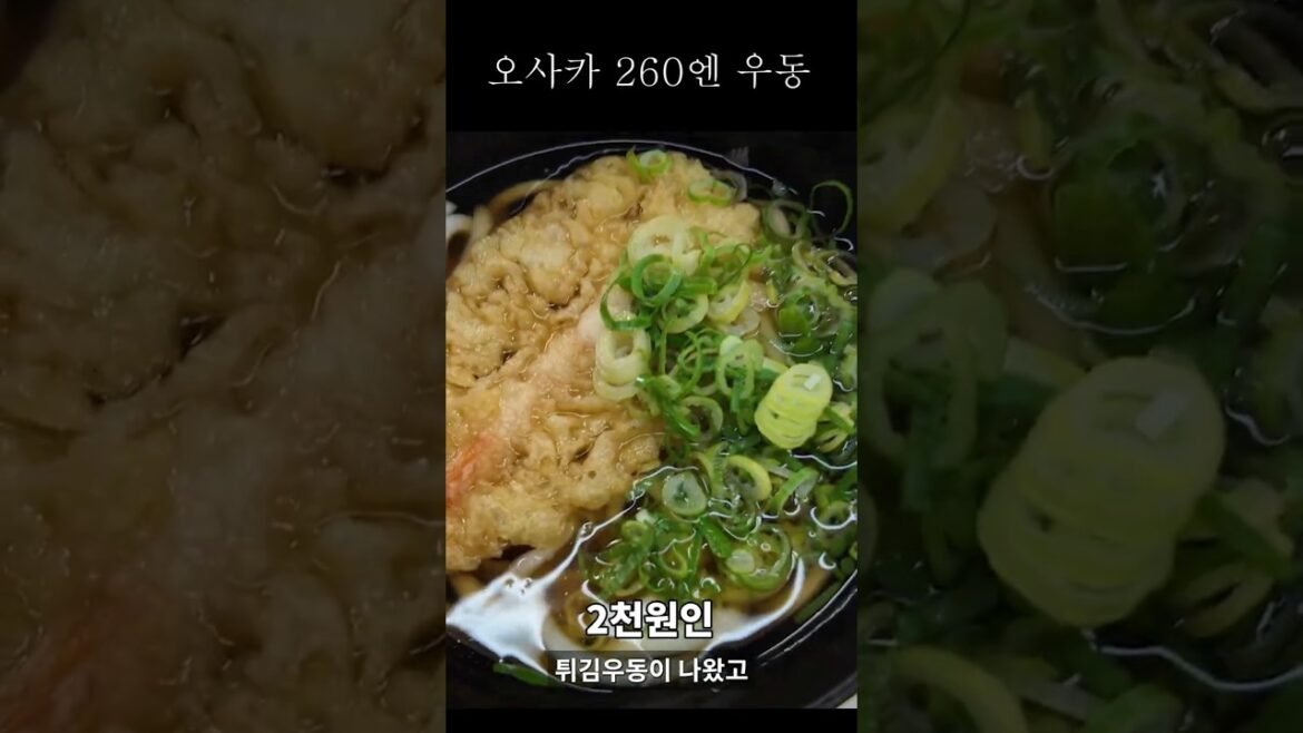 일본 2천원짜리 우동?!!!  #우동 #오사카 #일본 #오사카여행 #일본여행 #오사카맛집
