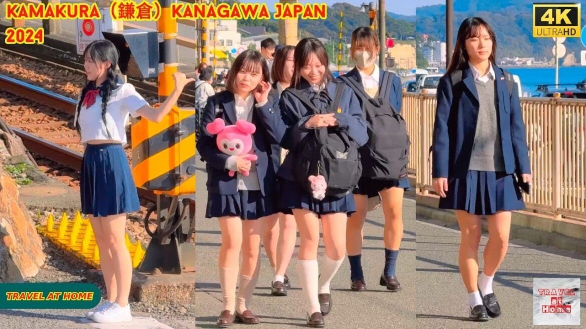 4k hdr japan travel 2024 | Walk in Kamakura（鎌倉）Kanagawa japan |  Relaxing Natural City ambience