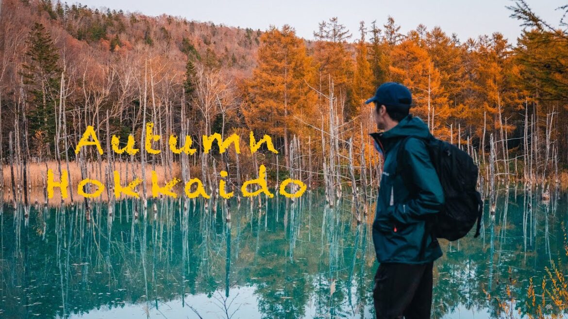 Autumn in Hokkaido Japan Autumn in Hokkaido Japan