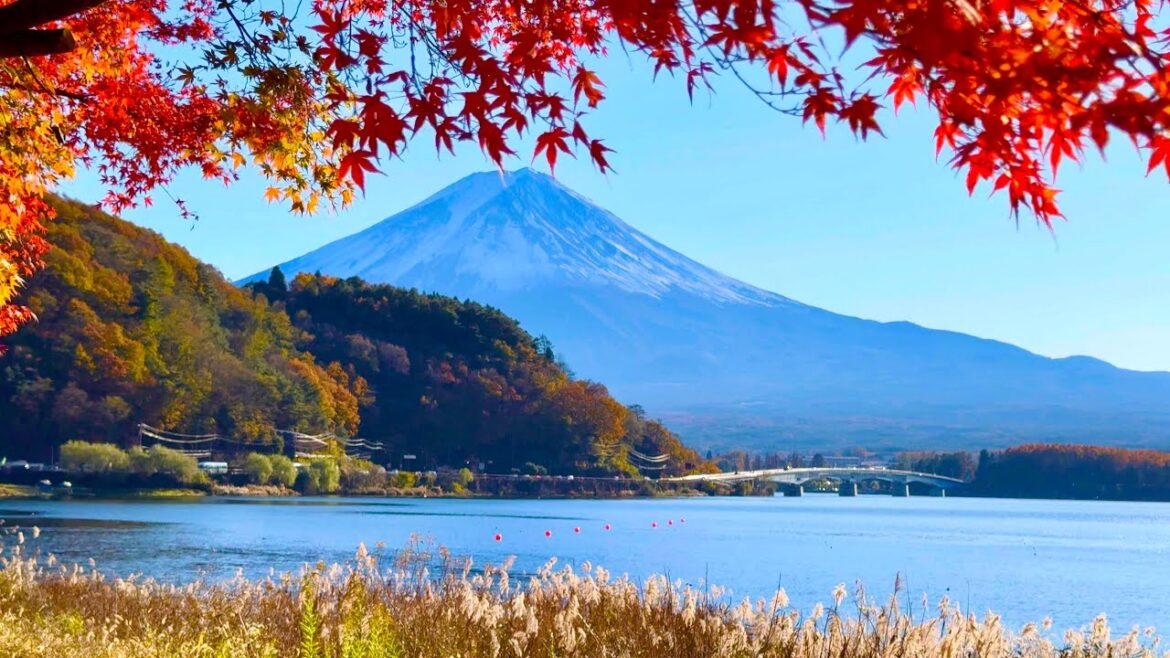 [4K] World’s Famous Mountain Fuji Tour. @ Autumn Walking tour Along the Kawaguchiko Lake. Japan.