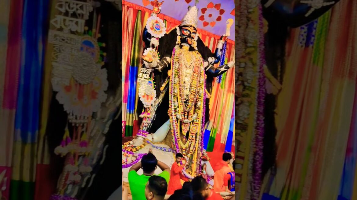 Naihati Boro Maa || বড়ো মা পূজা|| #boromaanaihati #boromaa #kolkata #views #viralvideo #video #vlog