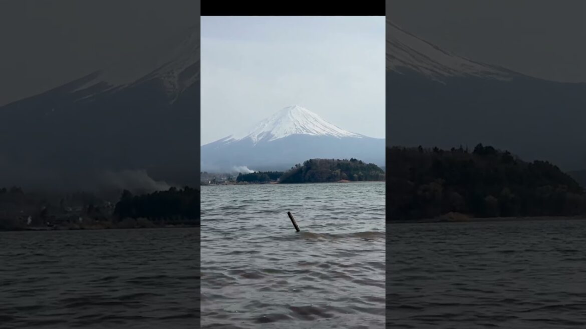 EXPERIENCE the Majesty of Mount Fuji #shorts #travelshorts #asiantravel