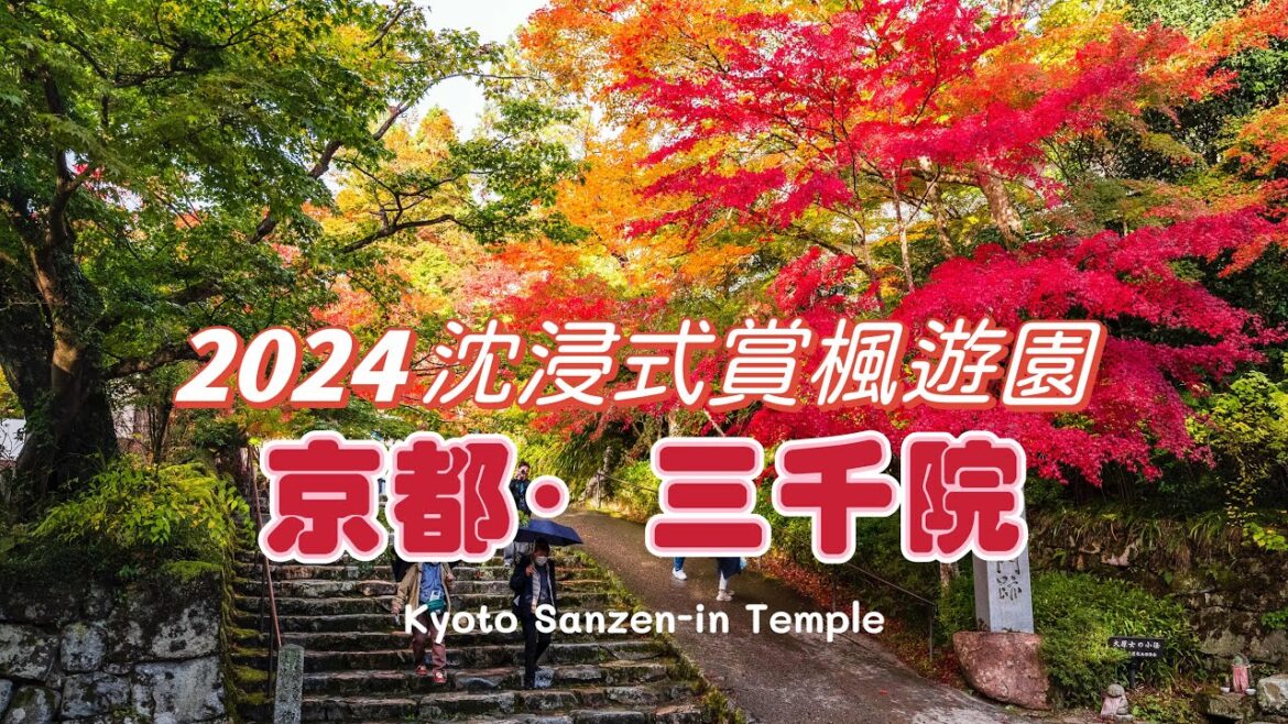 【2024京都秋色!最美京都三千院】京都三千院秋季賞楓|漫步京都紅葉絕景,感受京都秋天的詩意|京都紅葉季賞楓純遊覽|日本秋季必訪紅葉勝地 【2024京都秋色!最美京都三千院】京都三千院秋季賞楓|漫步京都紅葉絕景,感受京都秋天的詩意|京都紅葉季賞楓純遊覽|日本秋季必訪紅葉勝地