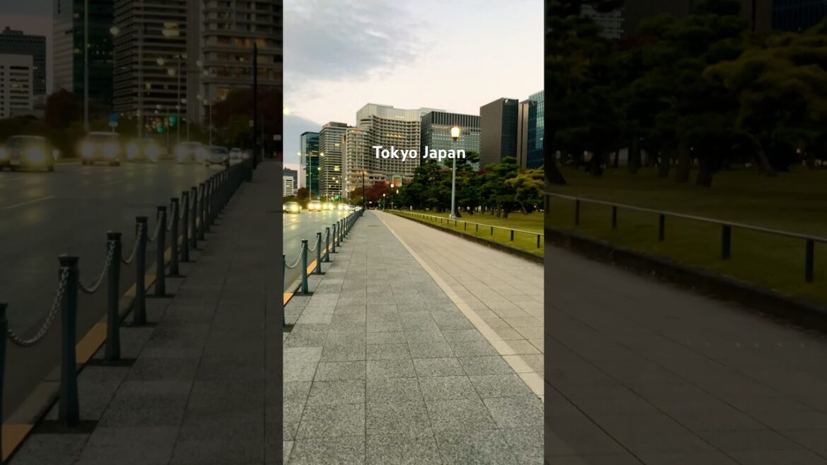 Beautiful Street View in Tokyo Japan #japan #travel #walkingtour #viralshorts #shorts