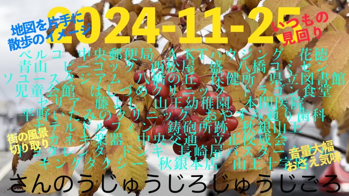 2024-11-25さんのうじゅうじろじゅうじごろ