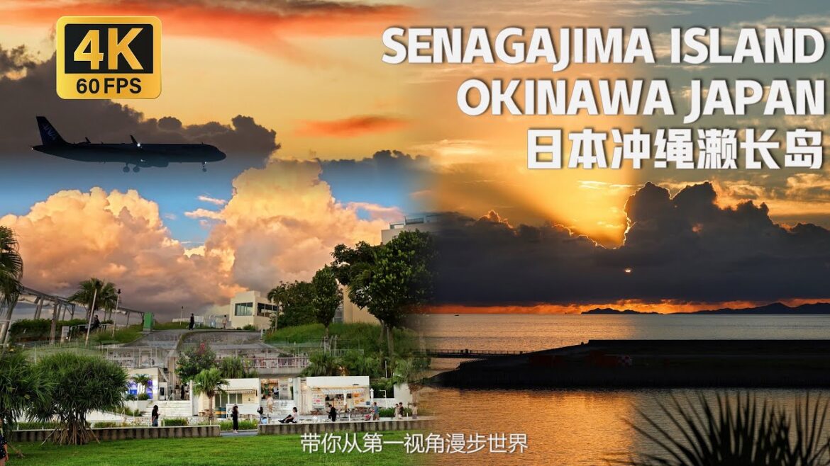 Japan- Watch Spectacular Sunsets and Planes Landing-Walking Tour|沉浸式漫步在日本衝繩瀨長島 觀美麗落日與飛機起降 [4K 60FPS]