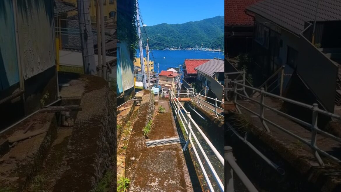 Heda (Shizuoka) / 戸田 海が綺麗すぎる静岡県沼津市戸田🥰🌊✨ #heda #shizuoka @TheThrillSeeker-F1D