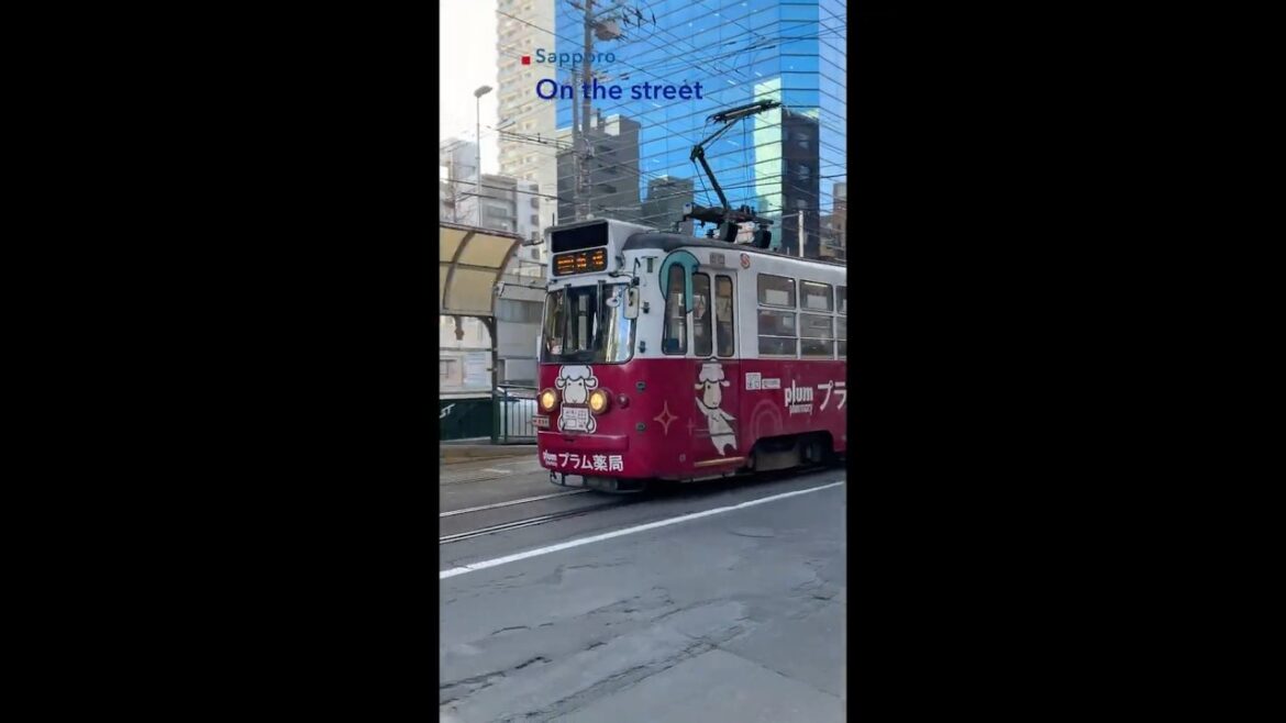 Sapporo Tram  #tram #sapporo