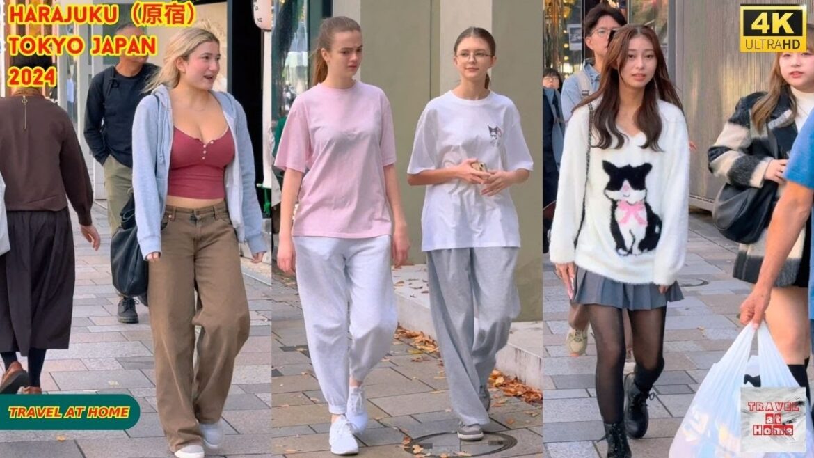 4k hdr japan travel 2024 | Walk in Harajuku（原宿）Tokyo Japan |  Relaxing Natural City ambience