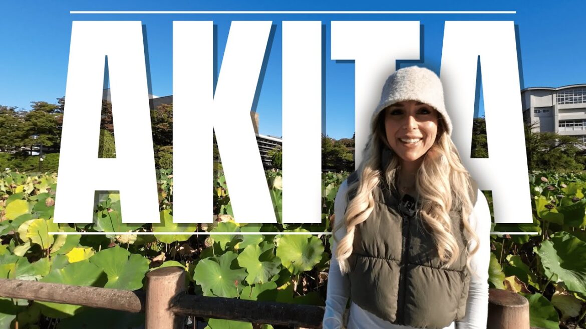 Cruise port day in Akita Cruise port day in Akita