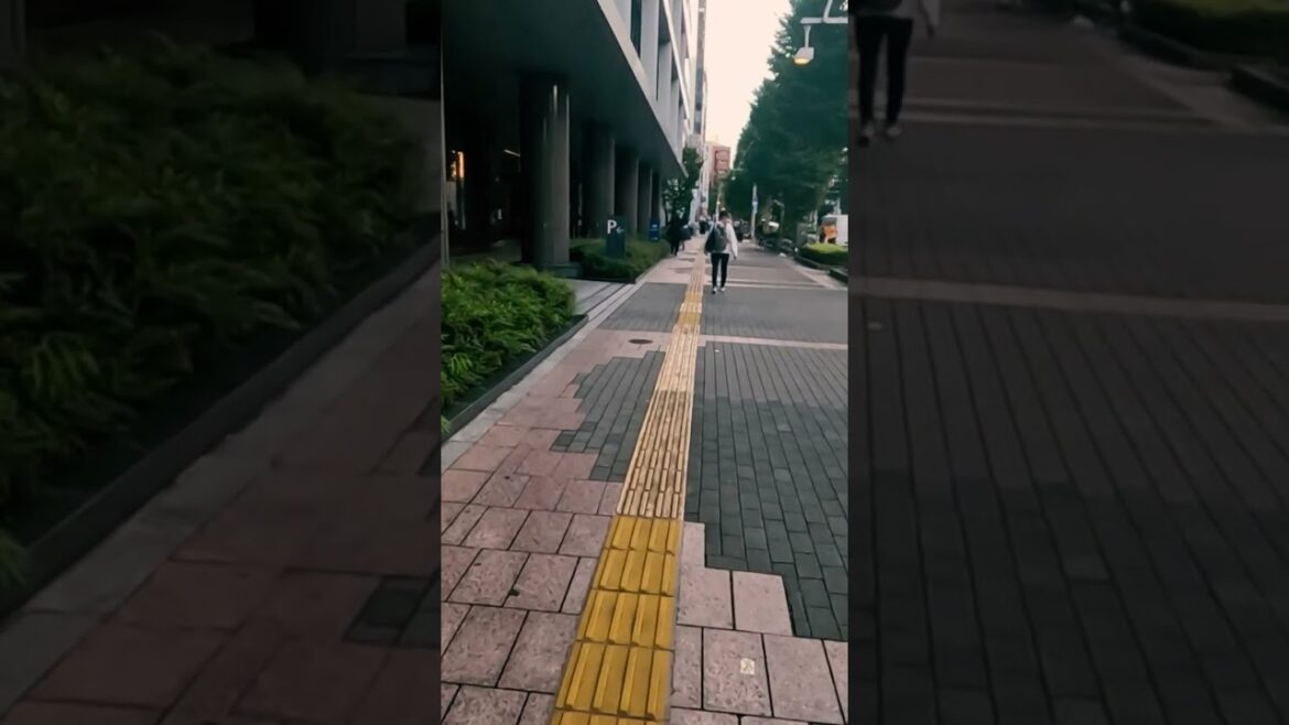 【Walk in Japan】Discovering Akihabara | A Walking Tour of Japan’s Pop Culture Capital – Johnny JAM🎸 【Walk in Japan】Discovering Akihabara | A Walking Tour of Japan’s Pop Culture Capital - Johnny JAM🎸