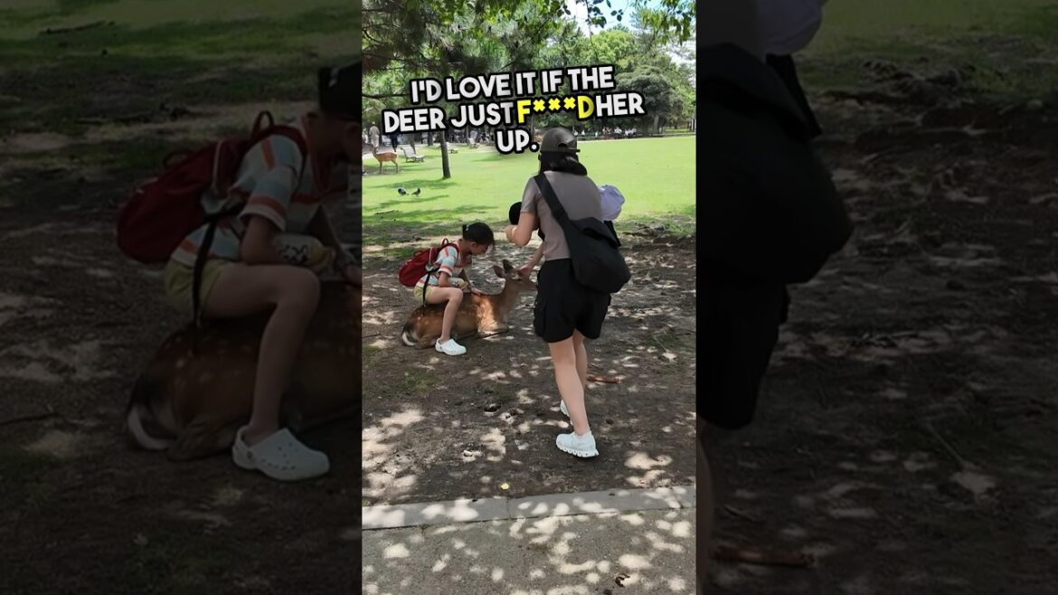 BAD Tourists at Nara Deer Park π¦ #japan #japantravel #japanese #travelshorts #japanvlog #nara #deer BAD Tourists at Nara Deer Park π¦ #japan #japantravel #japanese #travelshorts #japanvlog #nara #deer