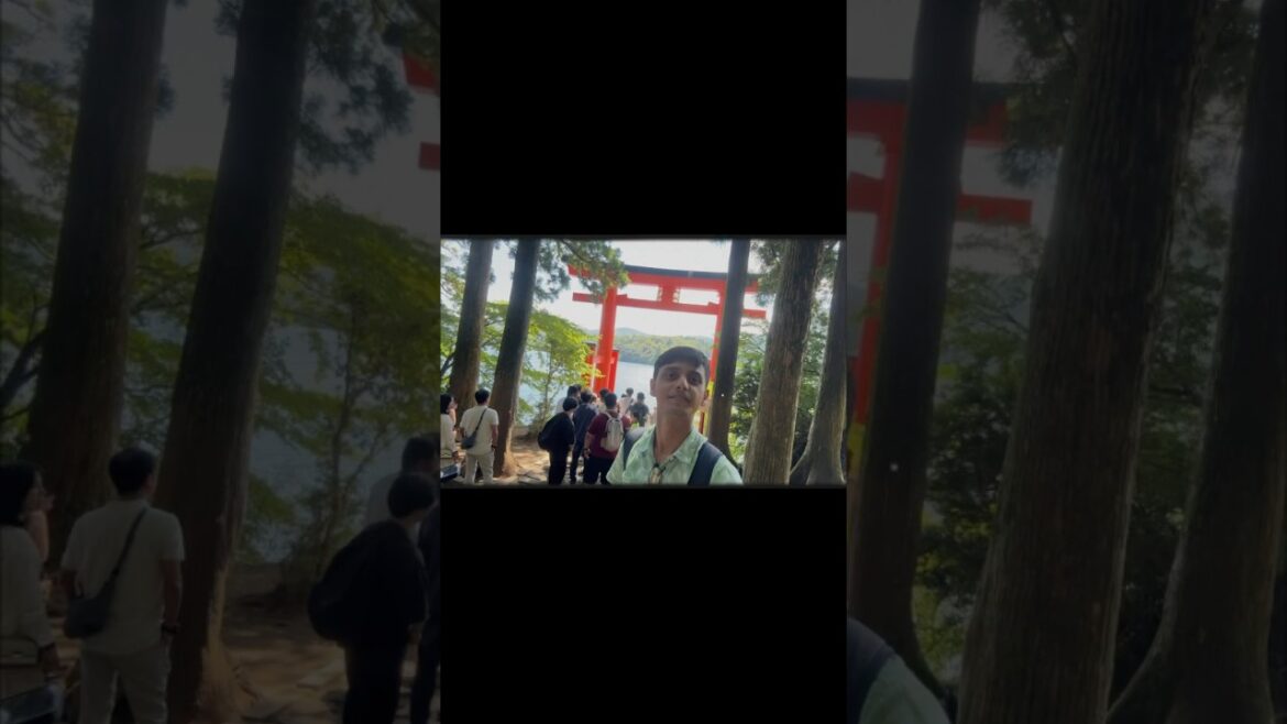 Hakone 1 Day Tour Coming - 箱根旅 - 箱根 - 旅行 - 旅 - travel - trend - tour - japan - nature - shorts