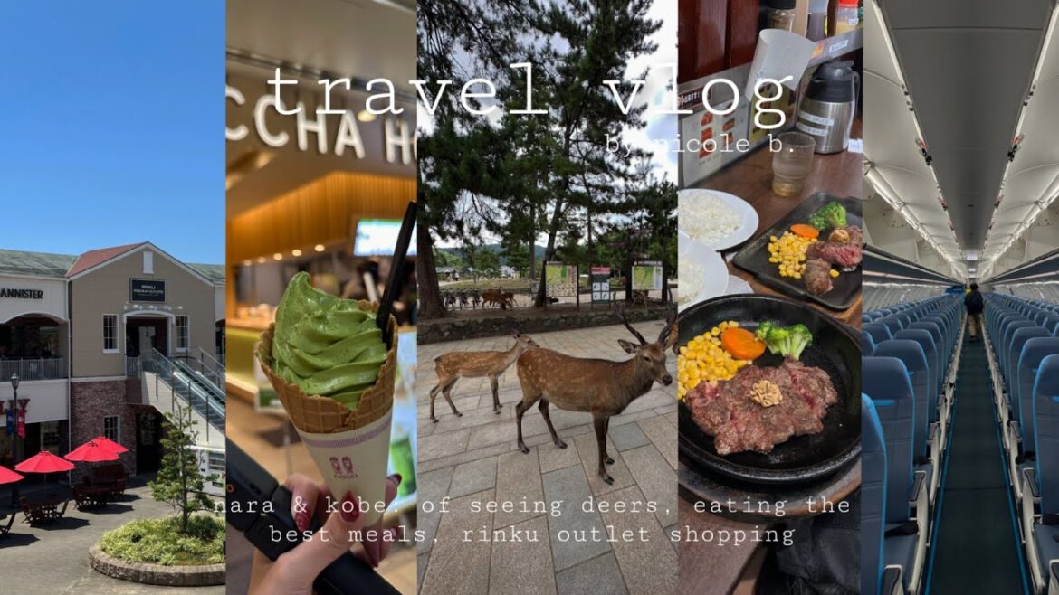 travel vlog ♡ nara & kobe: of seeing deers, eating the best meals & rinku outlet shopping| Nicole B.