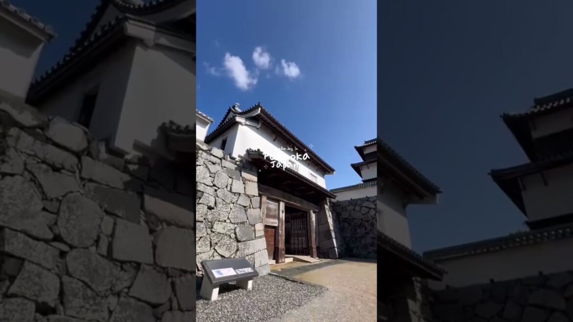 wandering around Fukuoka 🍃 #shorts