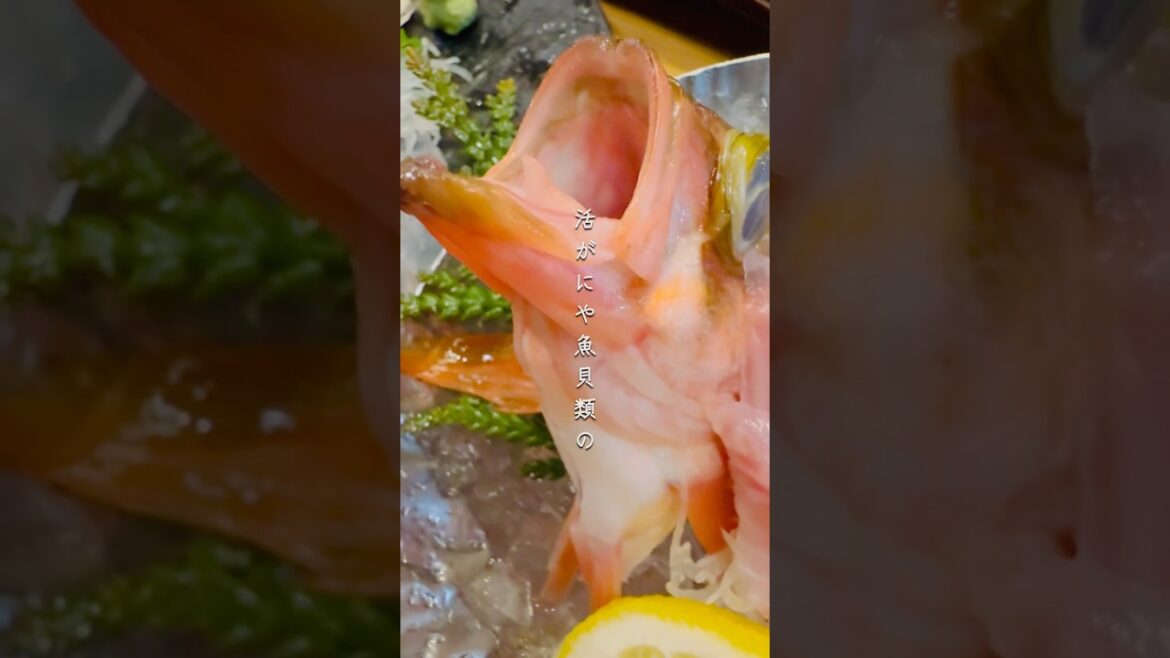 😋著名人も御用達‼️卸問屋直営店だから新鮮&コスパ最高📍海光房@北海道函館