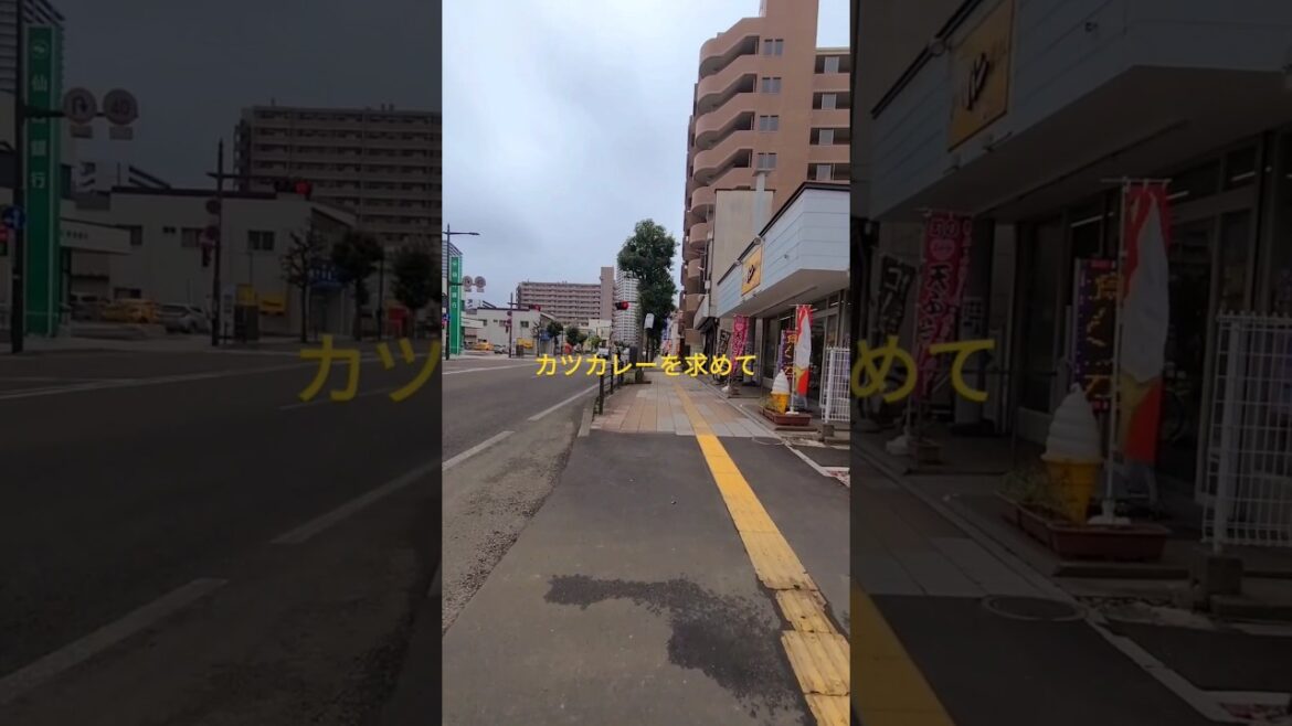 カツカレーを求めてラーメンとんかつ忠へ 仙台 長町 October 2024