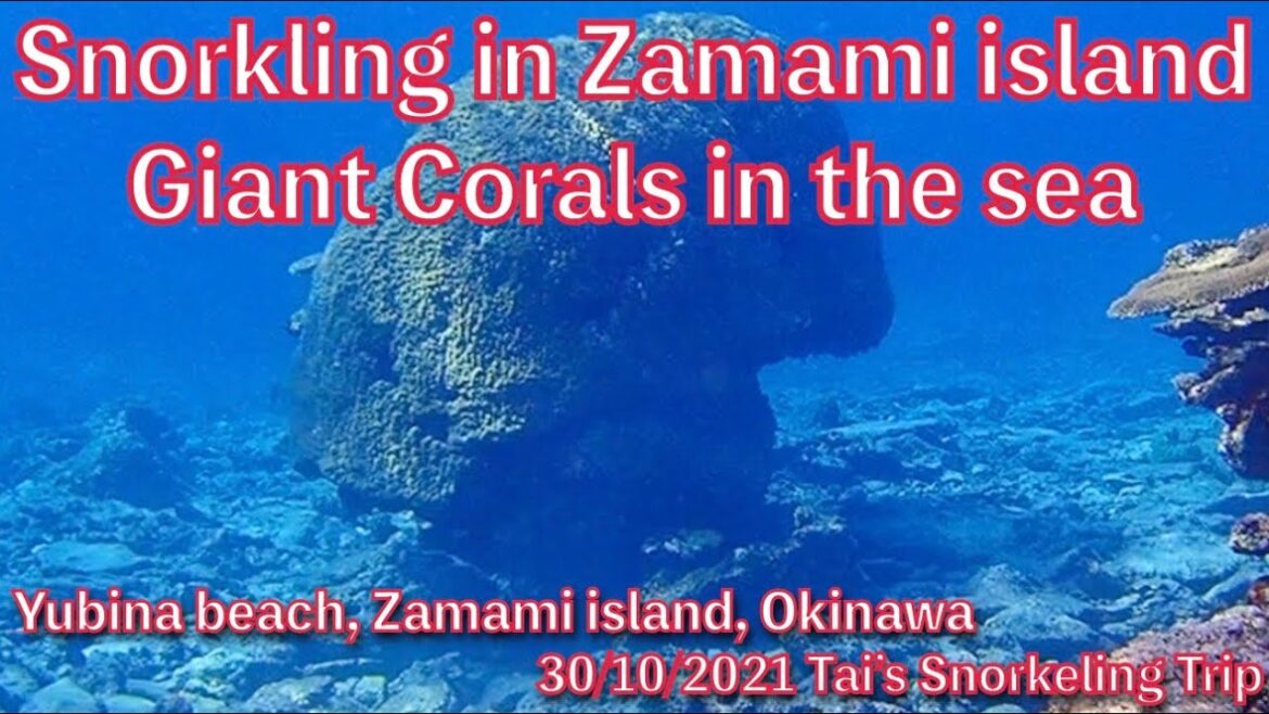 【#49 Tai’s Snorkeling Trip in Okinawa】Yubina beach in Zamami island, Okinawa, Japan