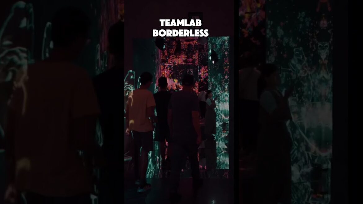 Japan is a dream #travel #tokyo #japan Japan is a dream #travel #tokyo #japan